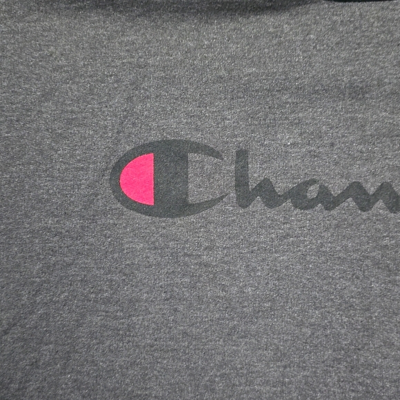 Champion Authentic Athletic Wear Pullover Gray Sweater Men's Size XL - Picture 6 of 15